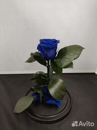 Роза в колбе оптом и в розницу