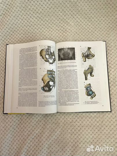 Практикум по анатомии человека, часть первая