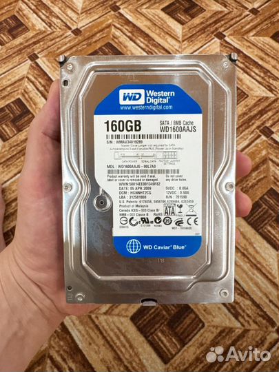 Western digital 160 gb