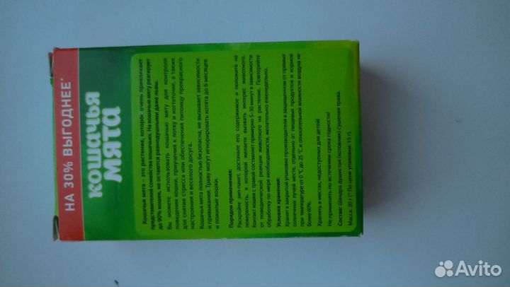 Кошачья мята