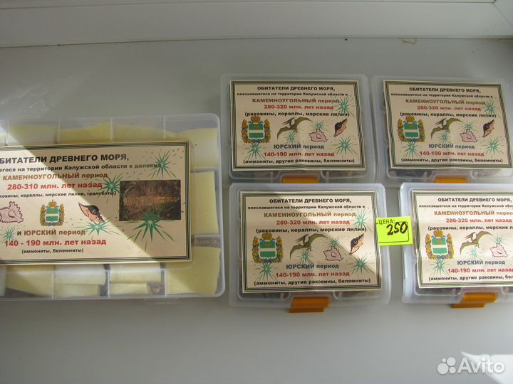 Окаменелости Калужской области