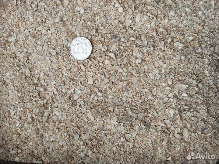 Ракушка кормовая