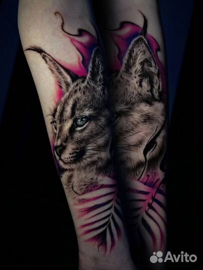 Тату студия, тату мастер, аренда, удаление