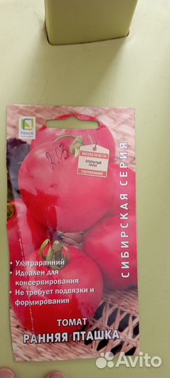 Рассада помидор