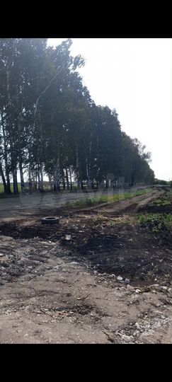 Участок 5 сот. (ИЖС)