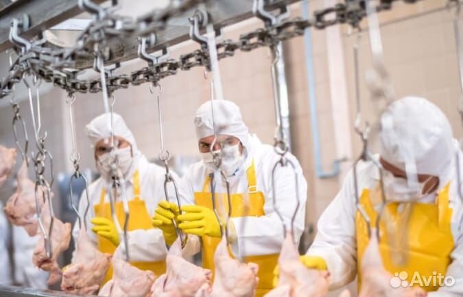 Фасовщик на Птицефабрику.Самарская обл(Садгород)