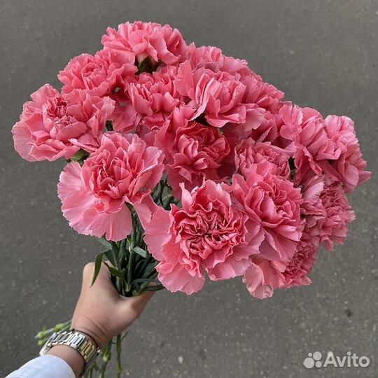 Гвоздика, цветы, готовые букеты