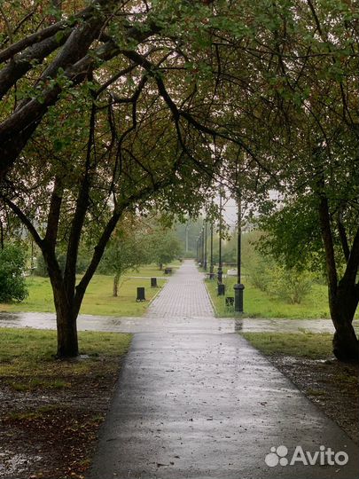 Мобильный фотограф