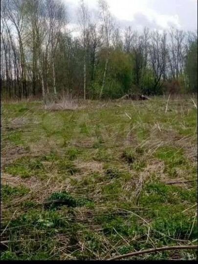 Участок 33 сот. (СНТ, ДНП)