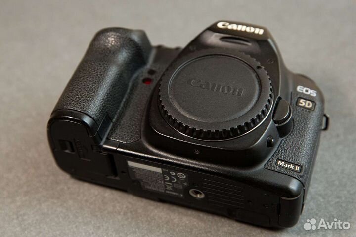 Canon 5D markii