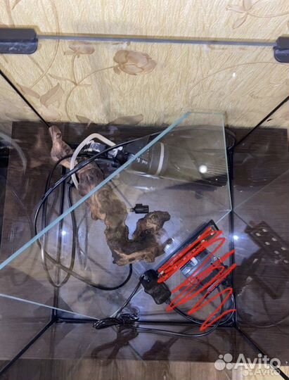 Аквариум / Креветки вишни / гуппи / мелании