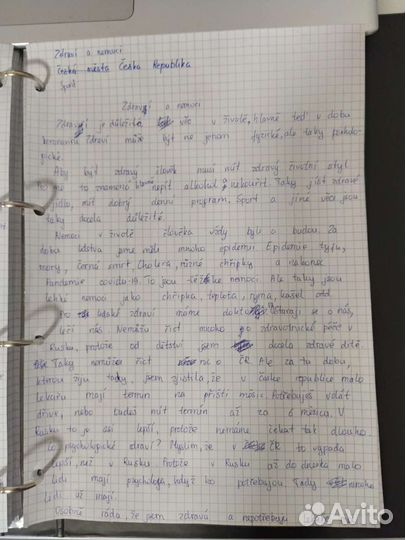 Уроки чешского. Репетитор чешского языка