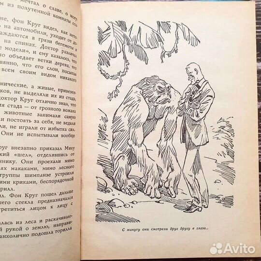 Велтистов. Рэсси- неуловимый друг 1971