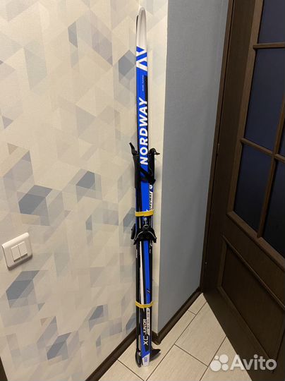 Беговые лыжи