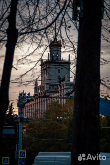 Начинающий фотограф