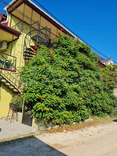 Дача 240 м² на участке 1 сот.