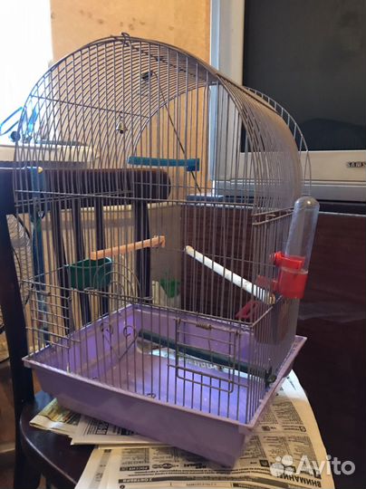 Клетка для попугая бу