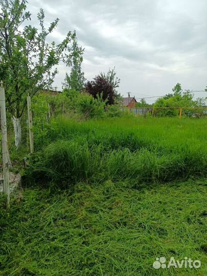 Сад благоустройство