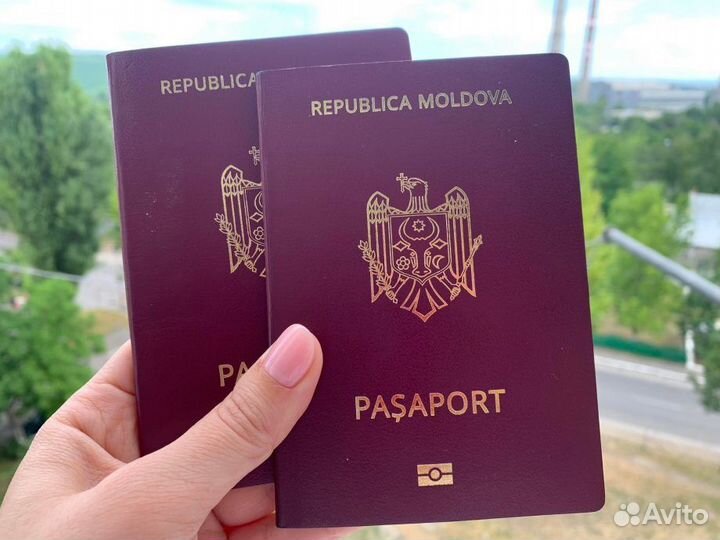 Гражданство Молдовы, молдавское гражданство