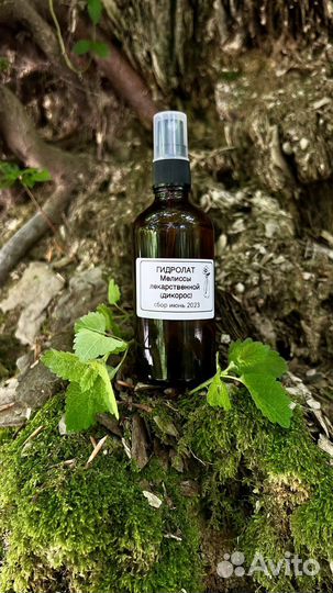 Гидролат мелиссы (100мл, флакон-спрей)