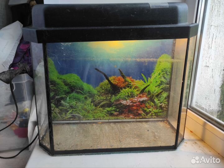 Аквариум с подсветкой 20-25 литров