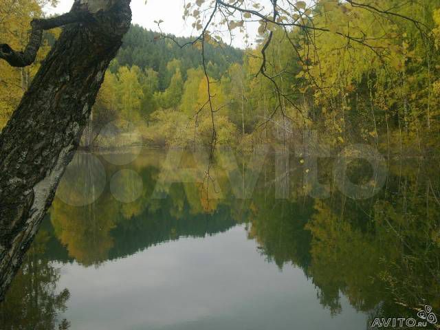 Участок 64 сот. (СНТ, ДНП)