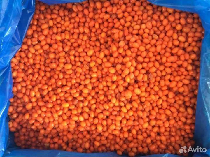 Облепиха садовая крупная