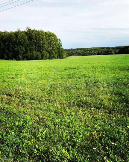 Участок 1,2 га (ИЖС)