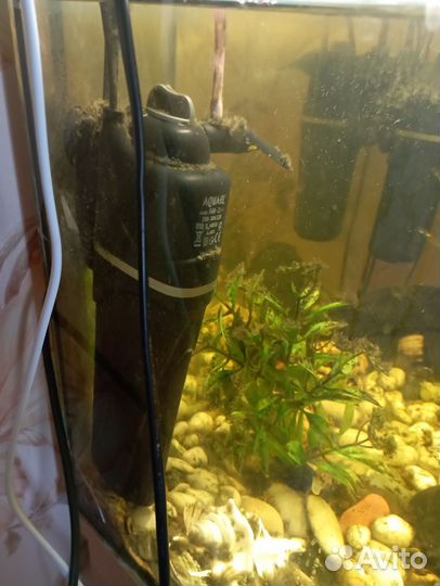 Аквариум с компрессорами