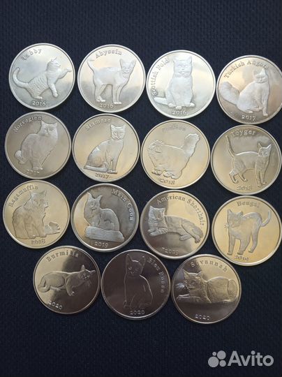 Парусники, кошки и монеты