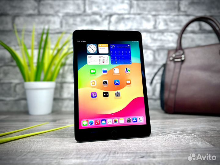 iPad Mini 5 64Gb Wi-Fi Space Gray