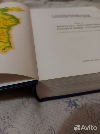 Альметьевская энциклопедия