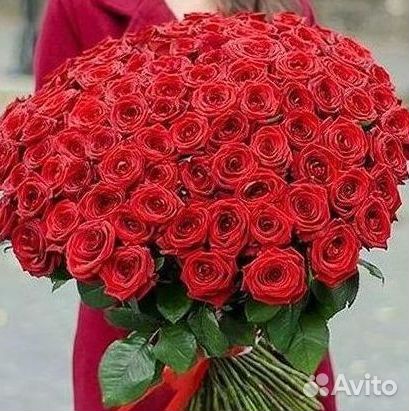 Высокие Розы с Доставкой