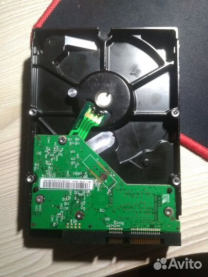 Жд Western Digital