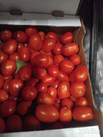 Овощи оптом