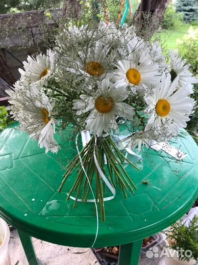 Ромашки букет