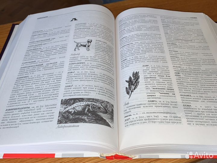 Большой иллюстрированный словарь иностранных слов