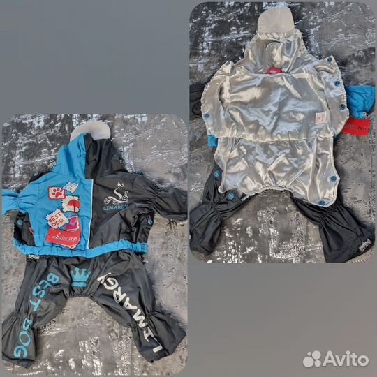 Дождевики для мелких собак