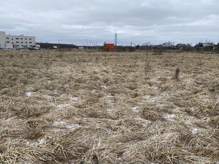 Участок 15 га (ИЖС)