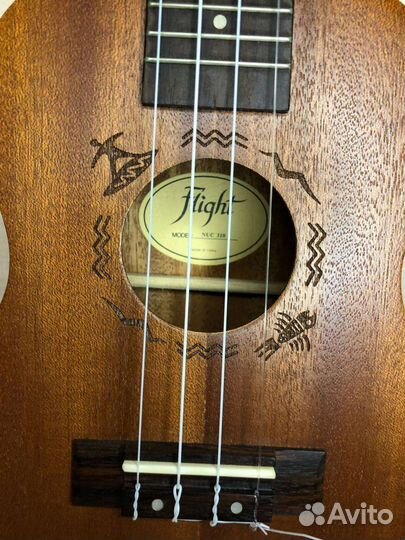 Укулеле flight концерт