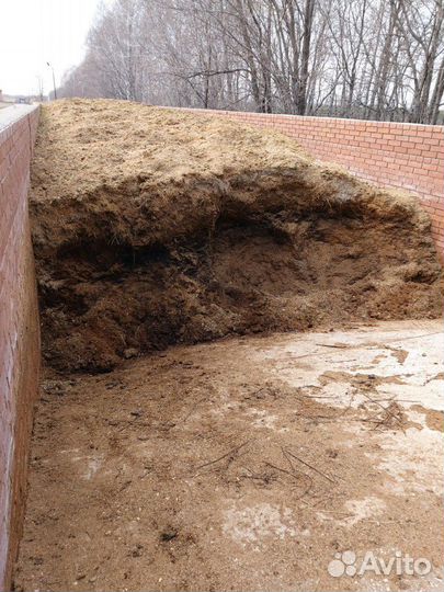 Конский навоз