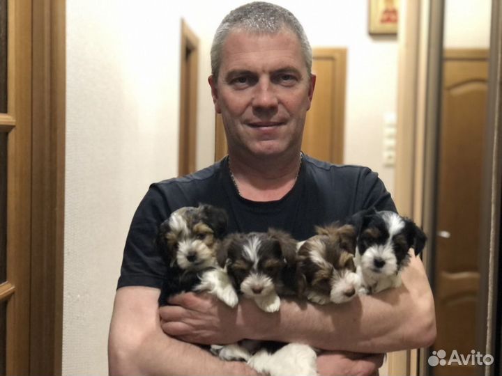 Вскрытие замков квартиры/автомобиля/замена/ремонт