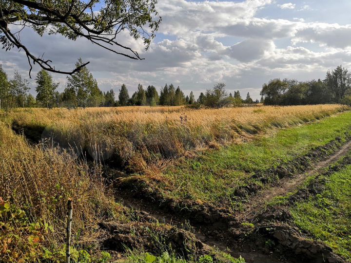 Участок 22,4 сот. (СНТ, ДНП)