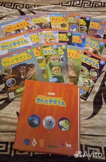 Журналы твои весёлые друзья зверята