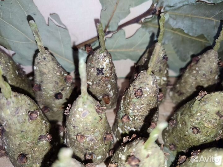 Свечи травяные зелёные денежные