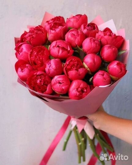 Пионы Букет пионов