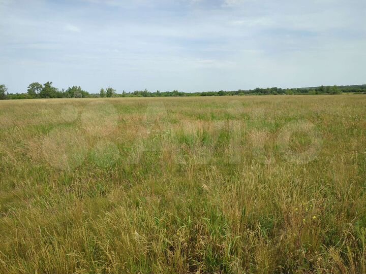 Участок 300 га (СНТ, ДНП)