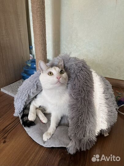 Лежанка для собак и кошек