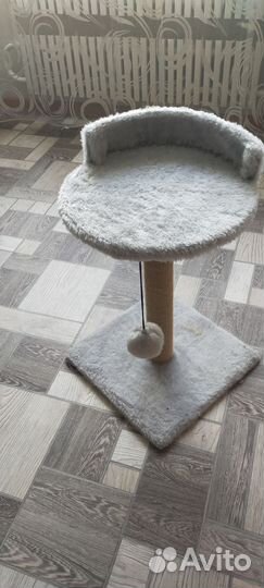 Когтеточка