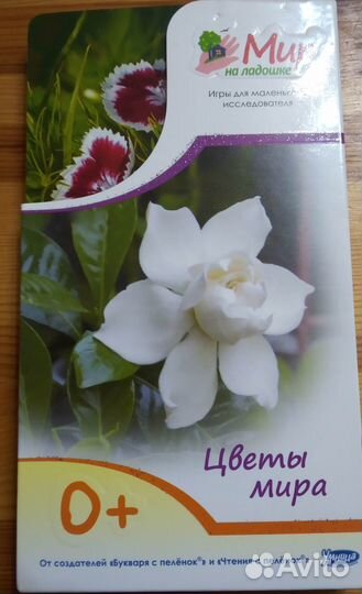 Карточки из серии 